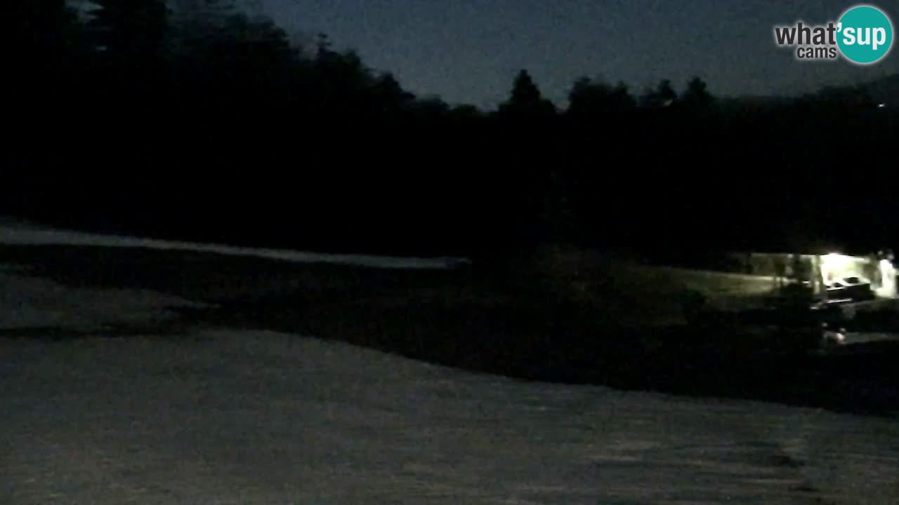 Webcam Pohorje Trikotna Jasa | Poštela