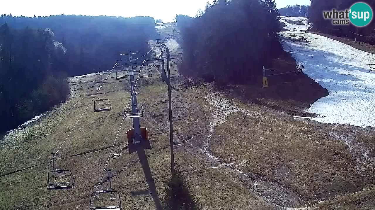 Web Camera Pohorje Trikotna Jasa | Poštela
