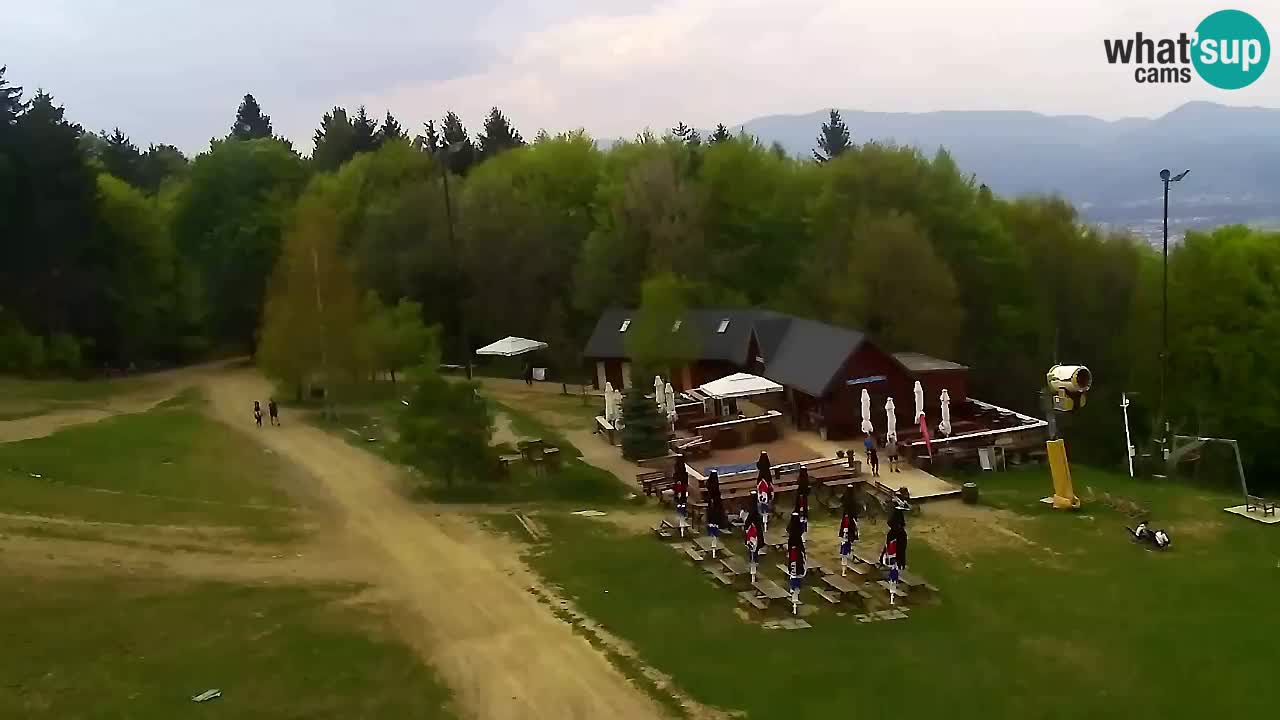 Web kamera Pohorje Trikotna Jasa | Poštela