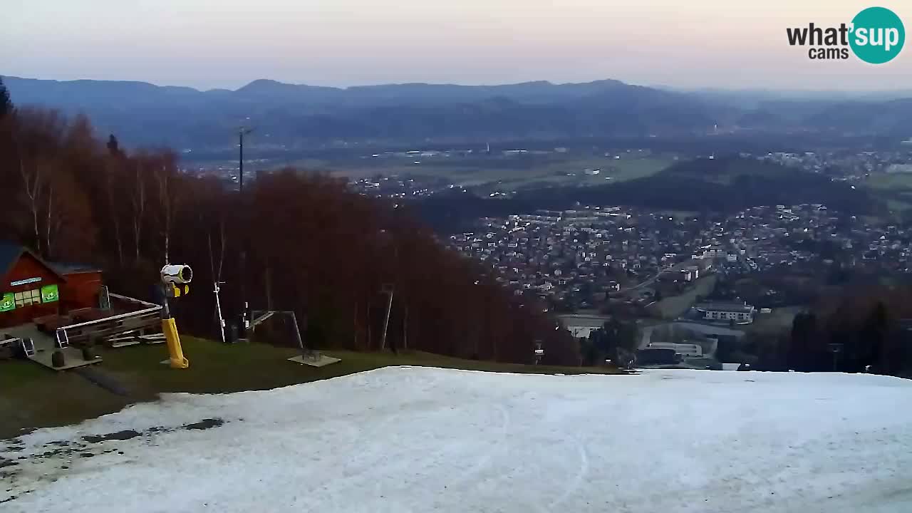 Webcam Pohorje Trikotna Jasa | Poštela