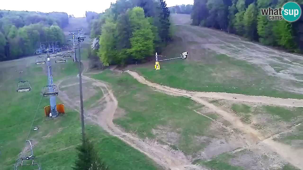 Webcam Pohorje Trikotna Jasa | Poštela