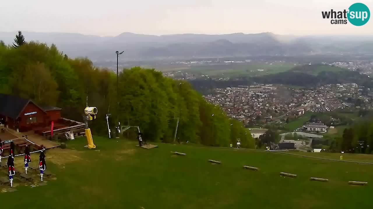 Web Camera Pohorje Trikotna Jasa | Poštela