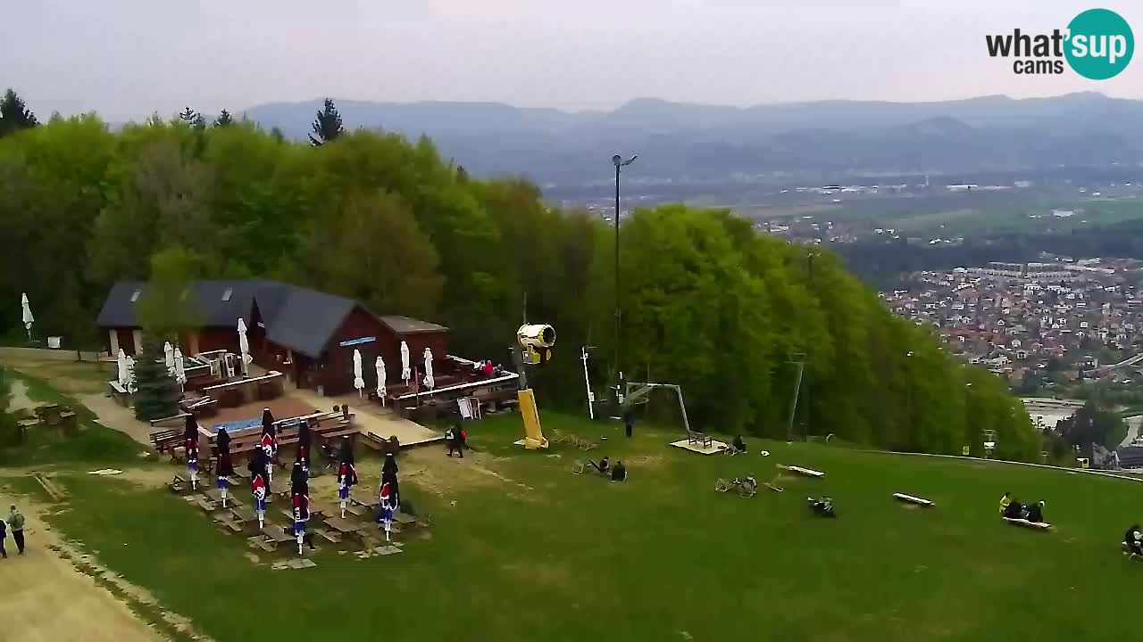 Webcam Pohorje Trikotna Jasa | Poštela