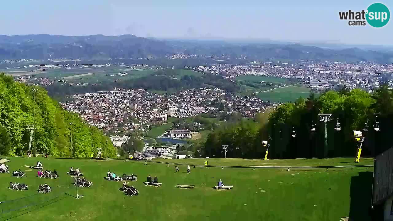 Webcam Pohorje Trikotna Jasa | Poštela