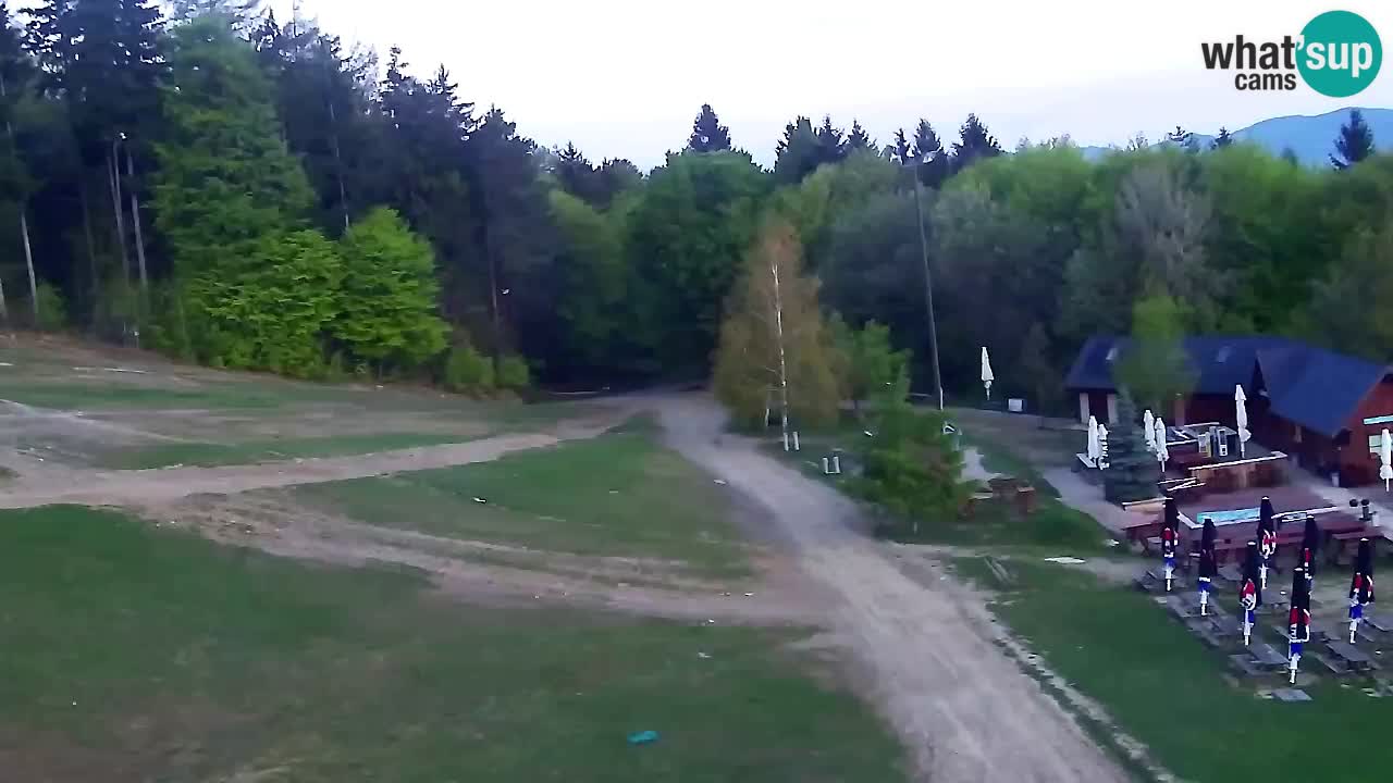 Webcam Pohorje Trikotna Jasa | Poštela