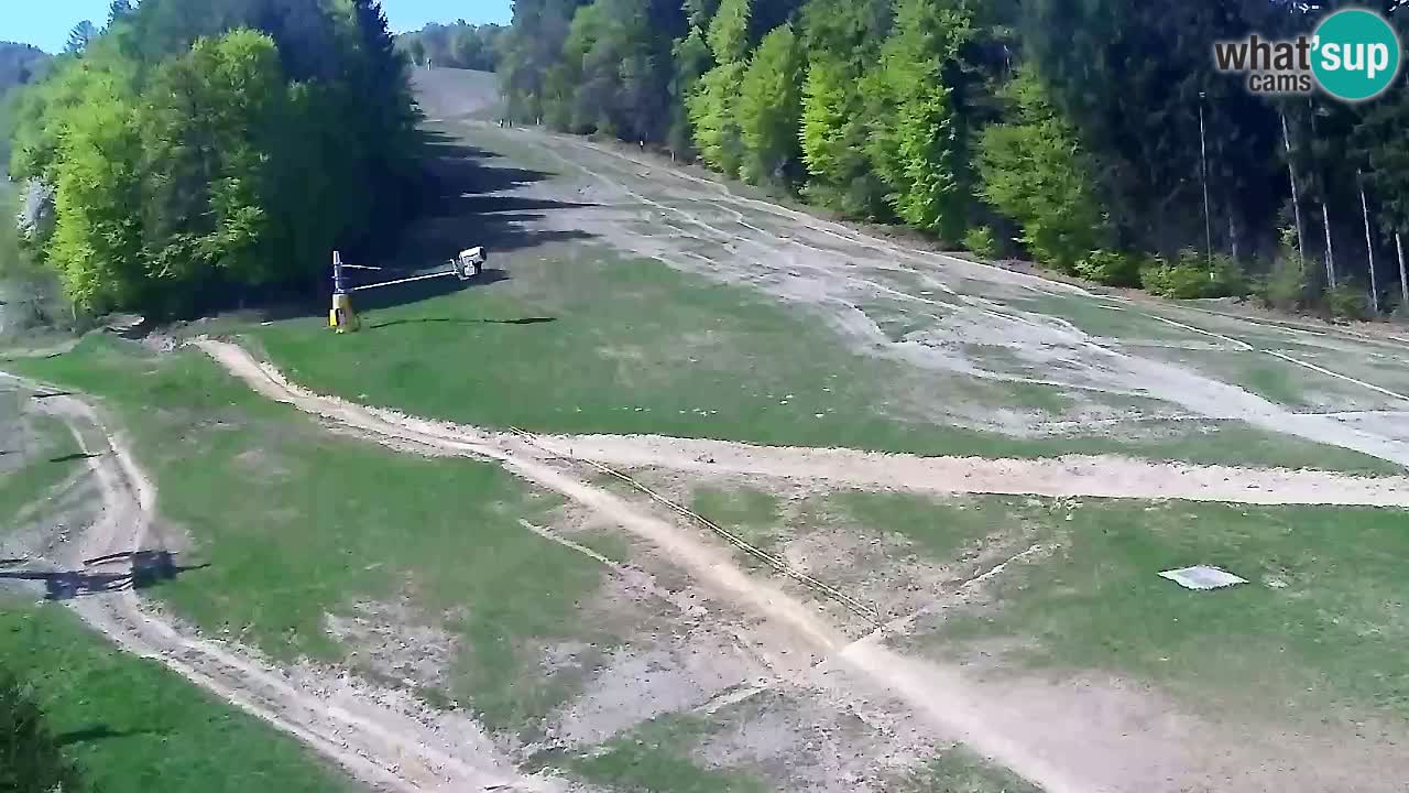 Web Camera Pohorje Trikotna Jasa | Poštela