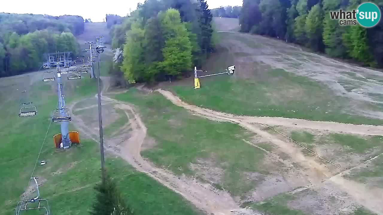 Webcam Pohorje Trikotna Jasa | Poštela