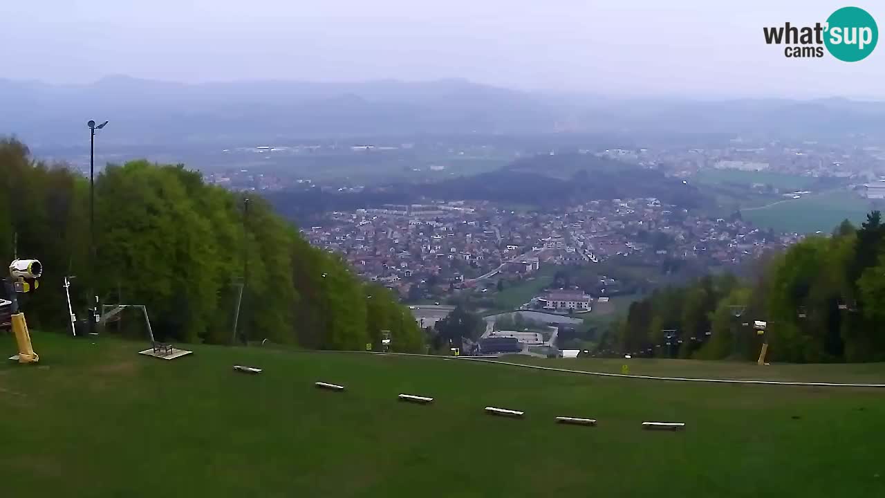 Webcam Pohorje Trikotna Jasa | Poštela