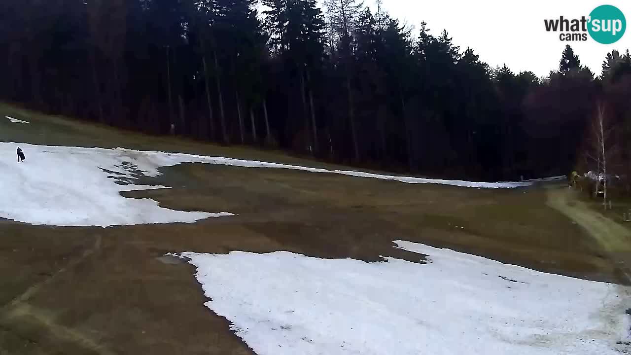 Web kamera Pohorje Trikotna Jasa | Poštela