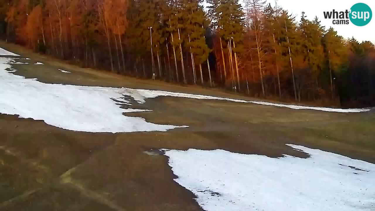 Webcam Pohorje Trikotna Jasa | Poštela