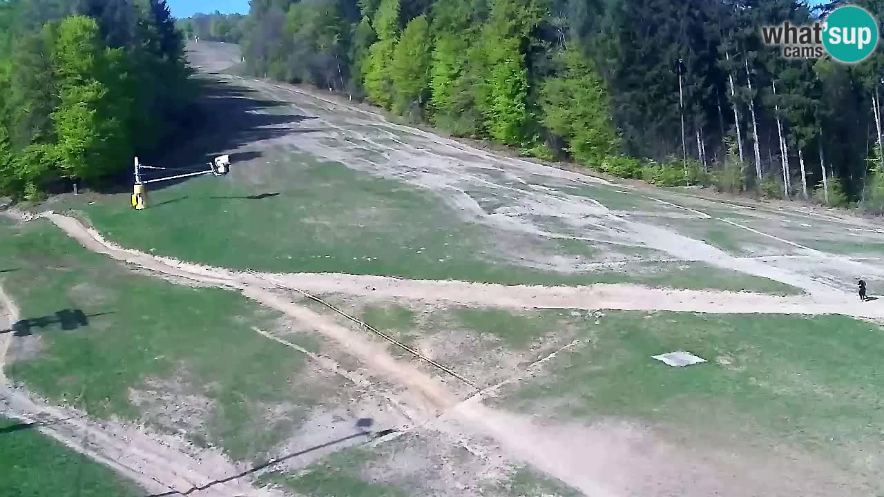 Webcam Pohorje Trikotna Jasa | Poštela