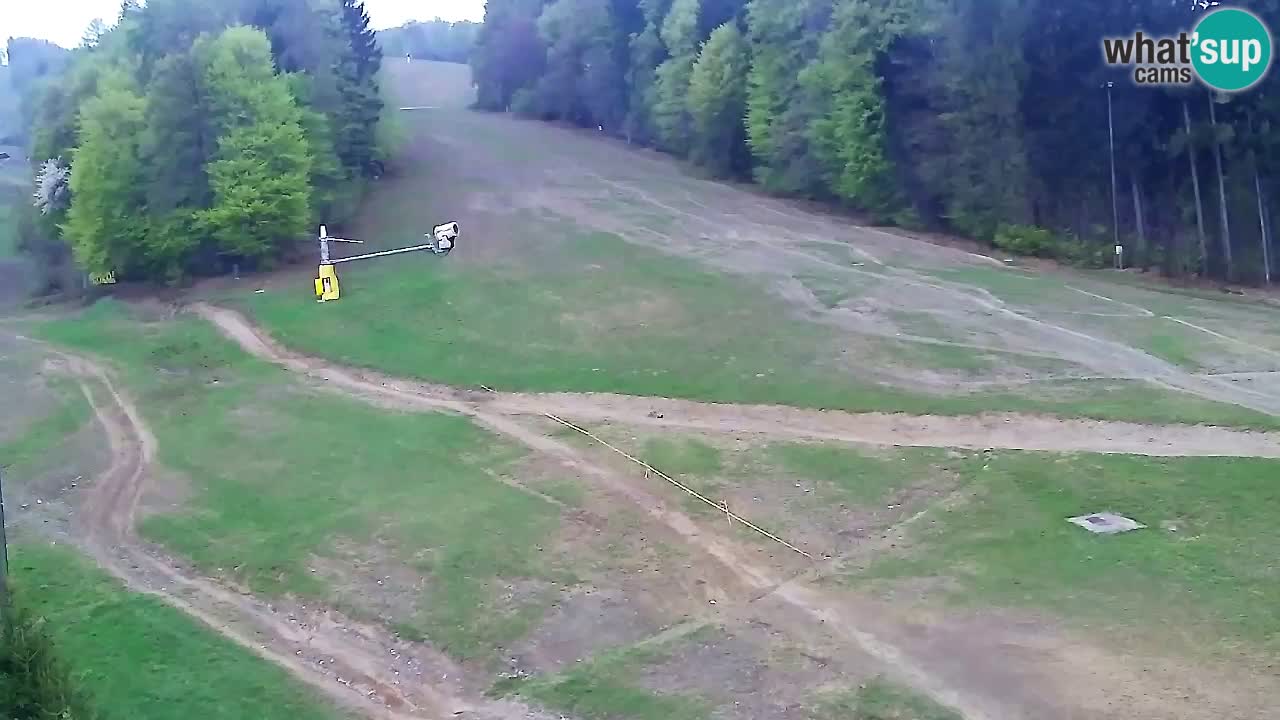 Webcam Pohorje Trikotna Jasa | Poštela