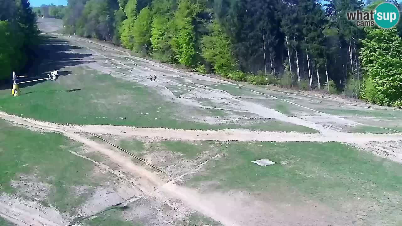 Web Camera Pohorje Trikotna Jasa | Poštela