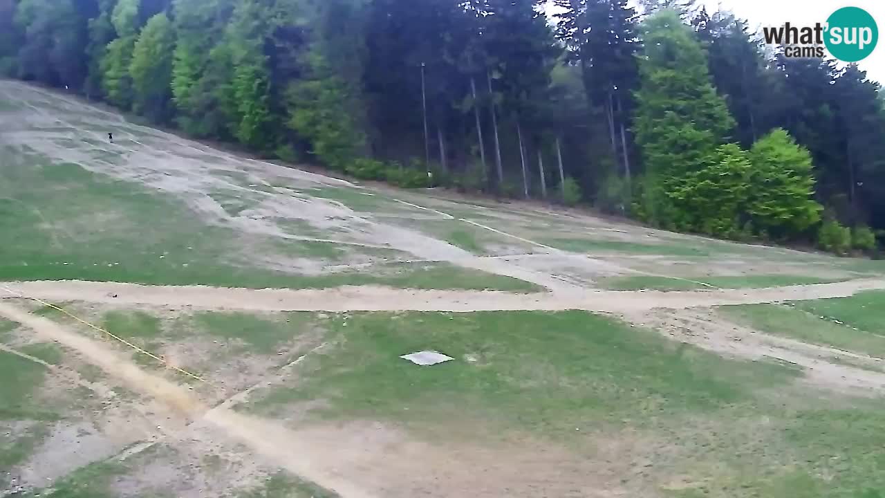 Webcam Pohorje Trikotna Jasa | Poštela