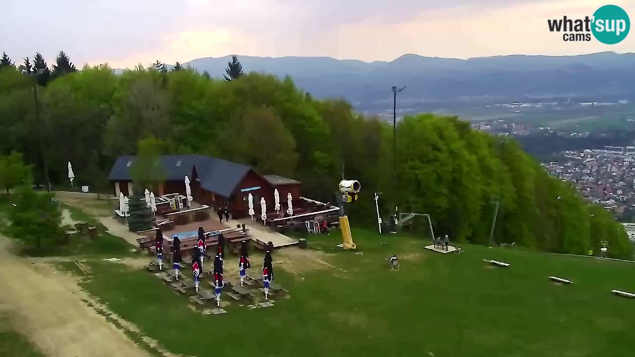 Webcam Pohorje Trikotna Jasa | Poštela