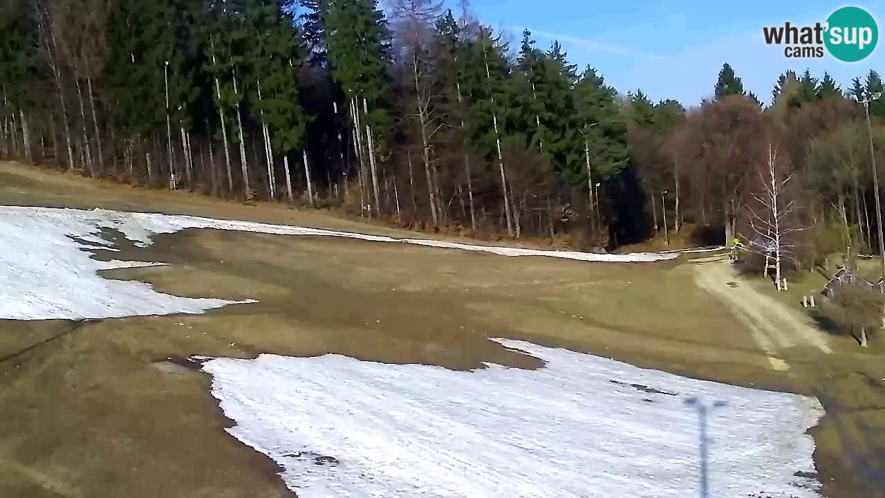 Webcam Pohorje Trikotna Jasa | Poštela