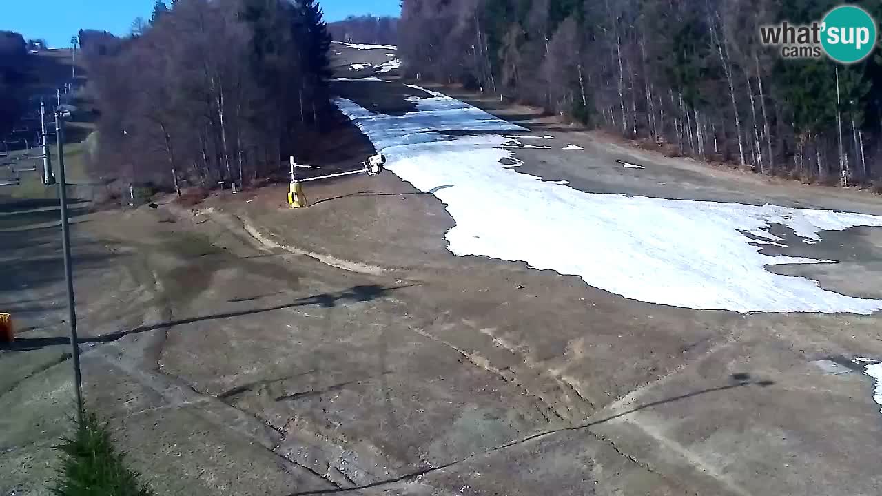 Web Camera Pohorje Trikotna Jasa | Poštela