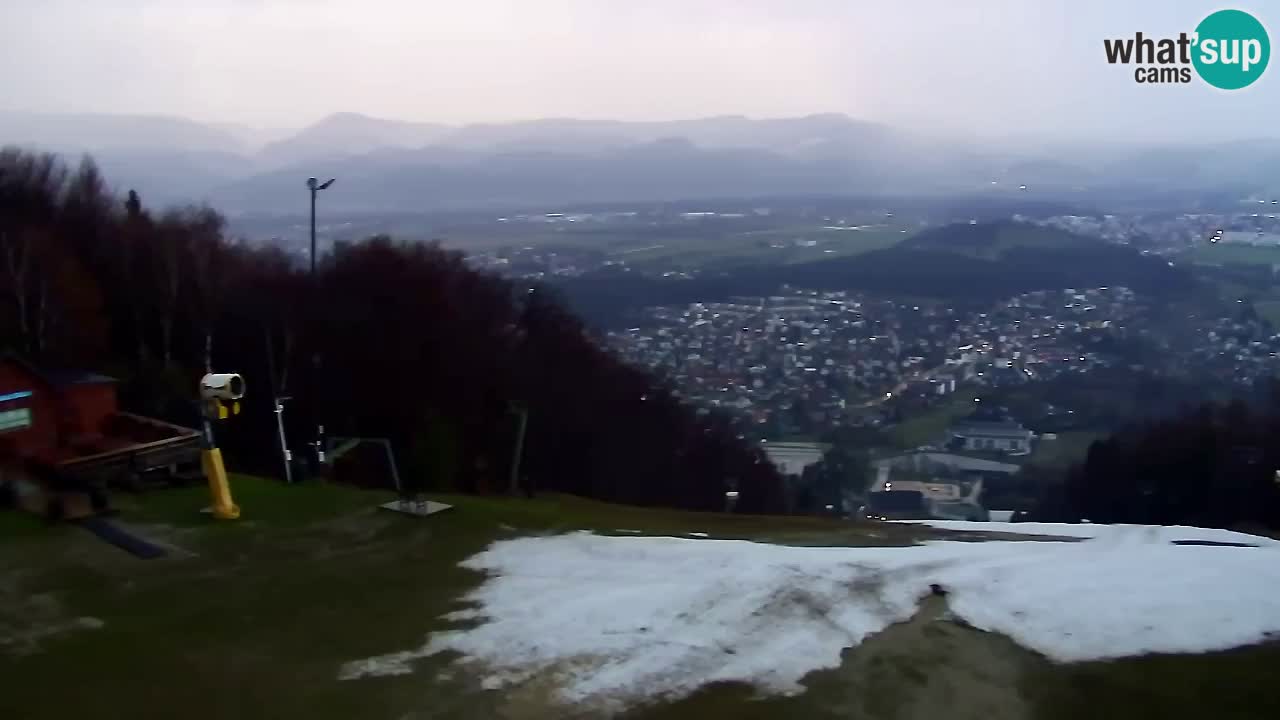 Webcam Pohorje Trikotna Jasa | Poštela