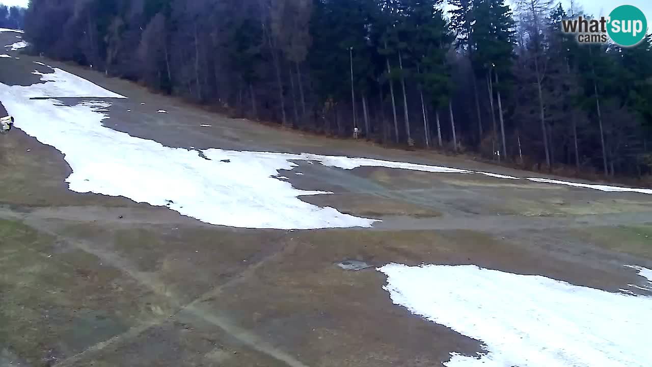 Web Camera Pohorje Trikotna Jasa | Poštela