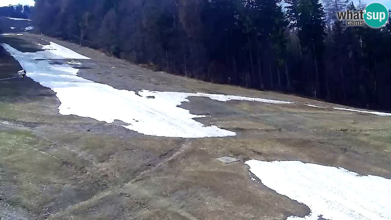 Web Camera Pohorje Trikotna Jasa | Poštela