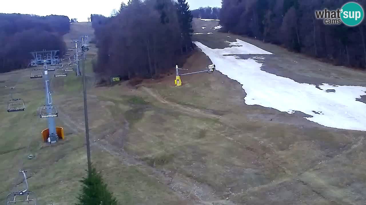 Web kamera Pohorje Trikotna Jasa | Poštela