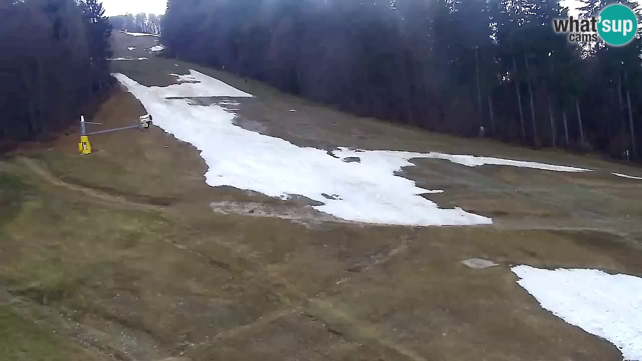 Webcam Pohorje Trikotna Jasa | Poštela