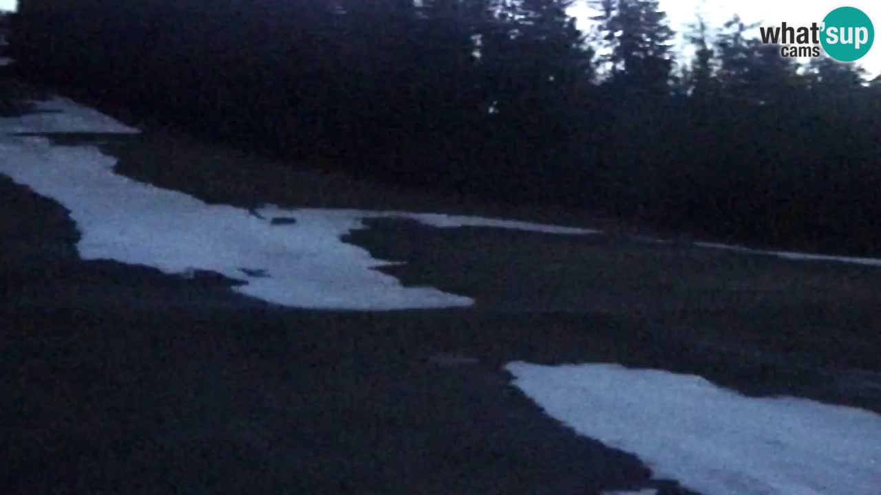 Spletna Kamera Pohorje Trikotna Jasa | Poštela