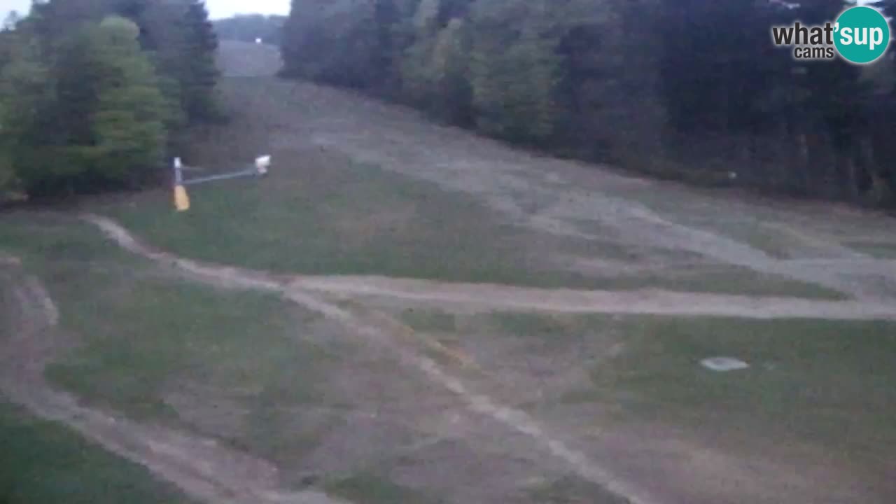 Web kamera Pohorje Trikotna Jasa | Poštela