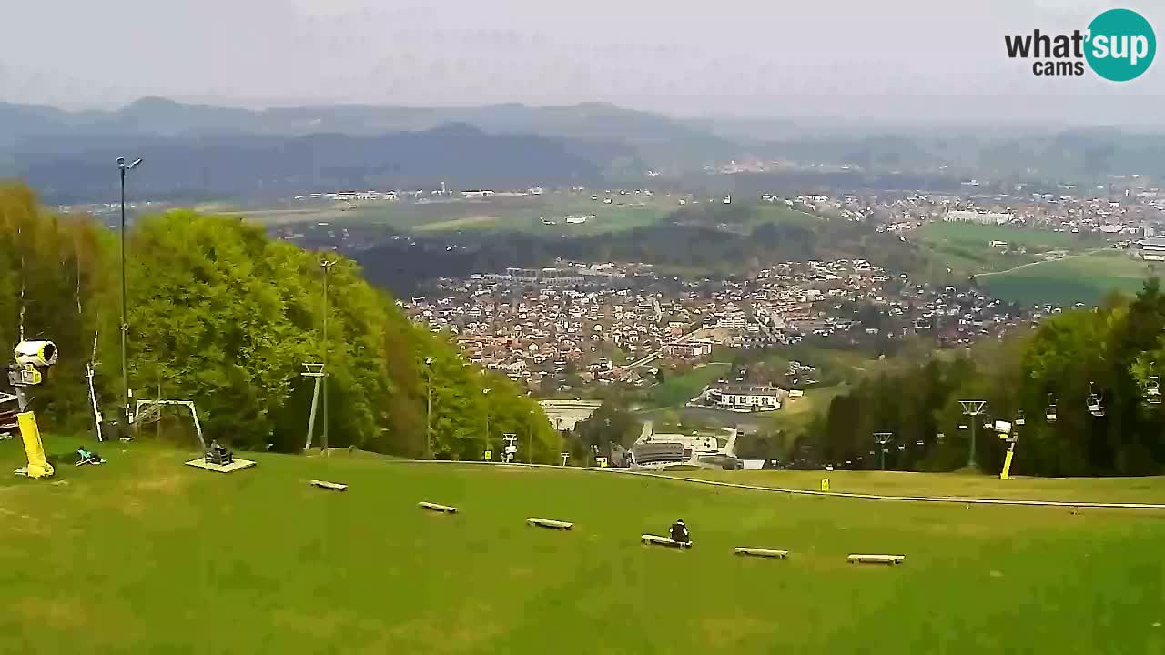 Webcam Pohorje Trikotna Jasa | Poštela