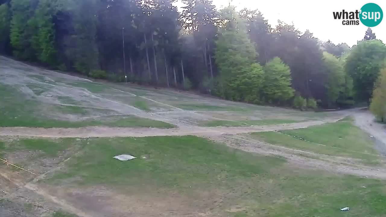 Spletna Kamera Pohorje Trikotna Jasa | Poštela