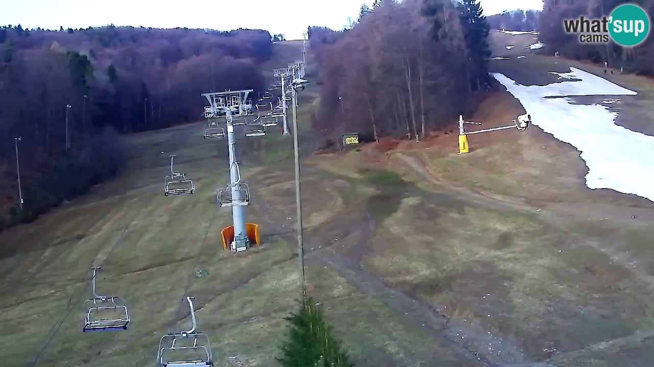 Web Camera Pohorje Trikotna Jasa | Poštela