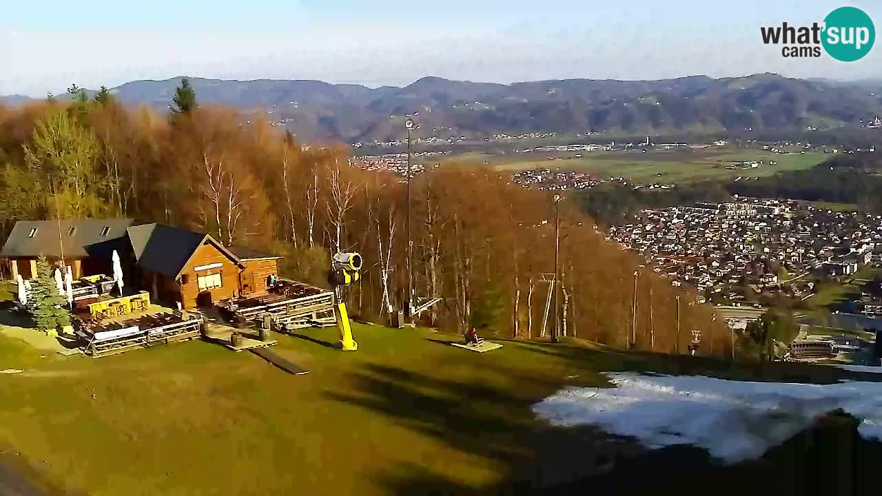 Webcam Pohorje Trikotna Jasa | Poštela