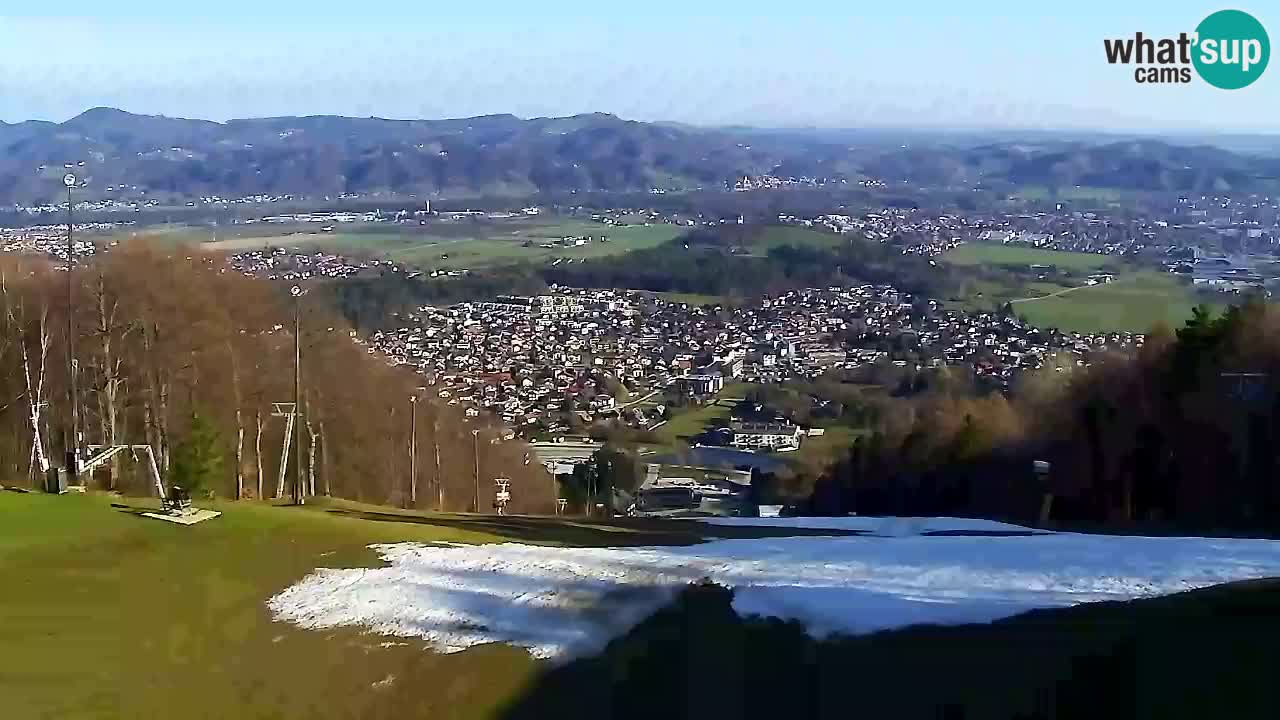 Webcam Pohorje Trikotna Jasa | Poštela