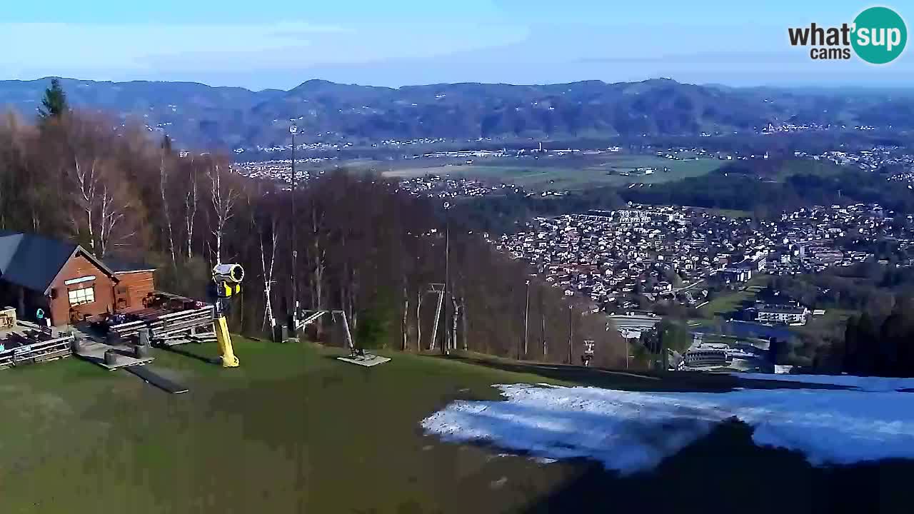 Webcam Pohorje Trikotna Jasa | Poštela