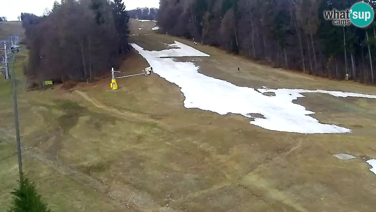 Webcam Pohorje Trikotna Jasa | Poštela