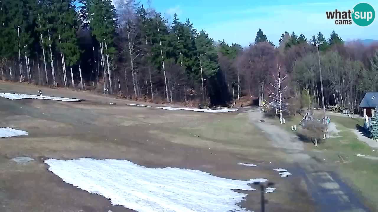Webcam Pohorje Trikotna Jasa | Poštela