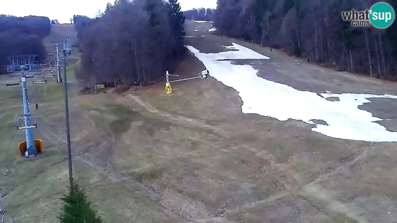 Webcam Pohorje Trikotna Jasa | Poštela