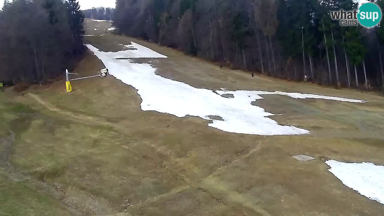 Web Camera Pohorje Trikotna Jasa | Poštela