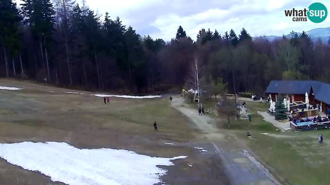 Web Camera Pohorje Trikotna Jasa | Poštela
