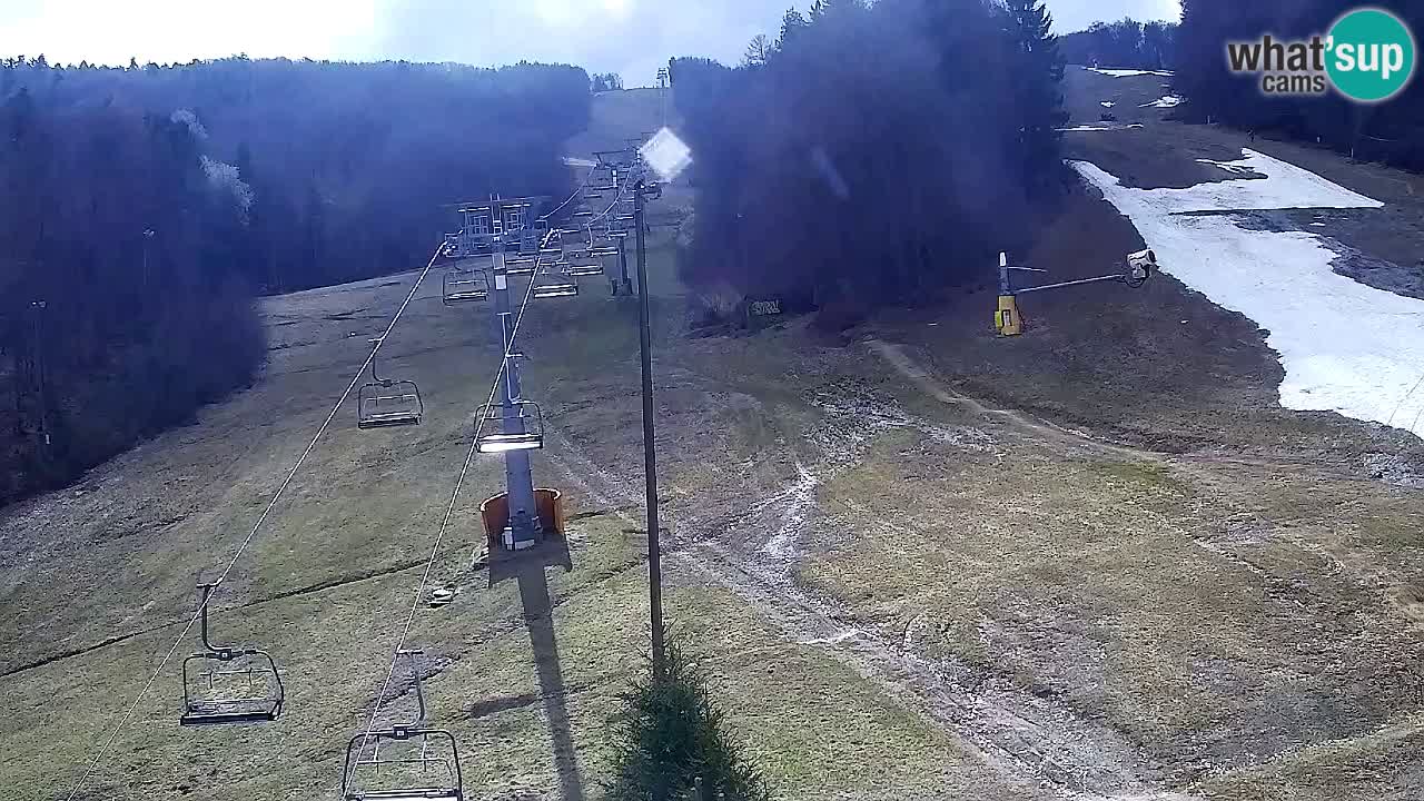 Webcam Pohorje Trikotna Jasa | Poštela