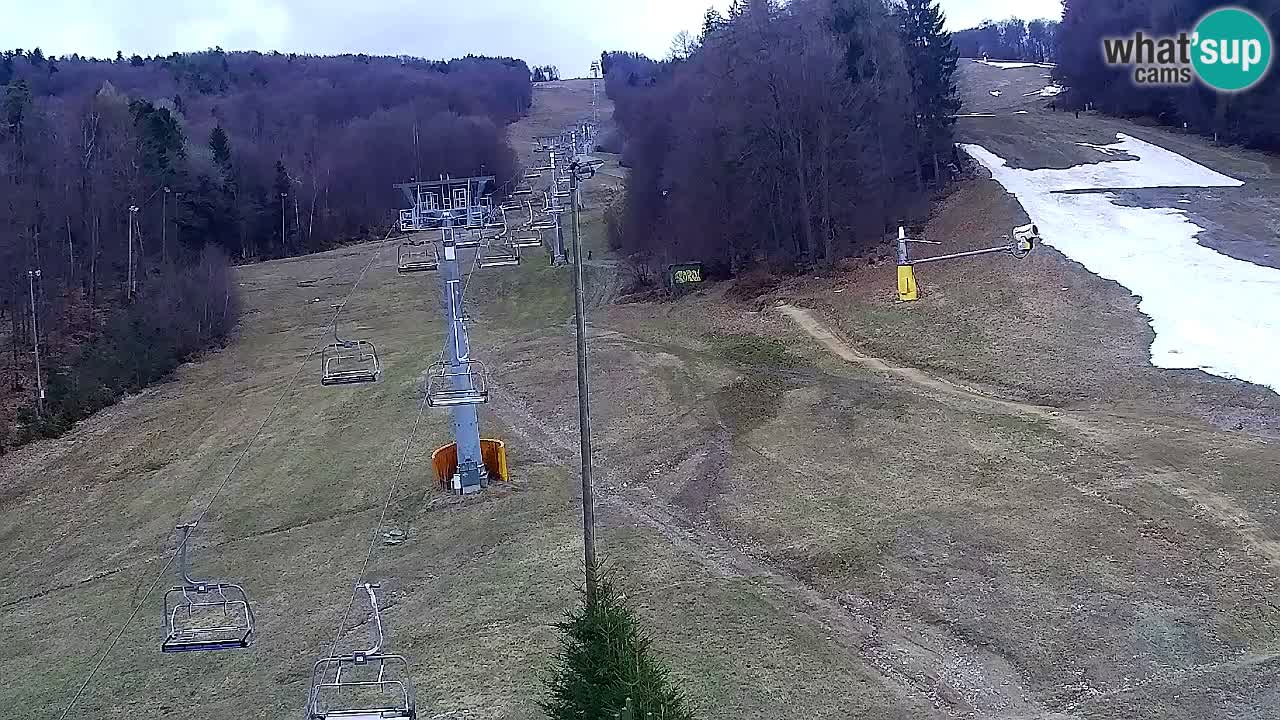 Webcam Pohorje Trikotna Jasa | Poštela