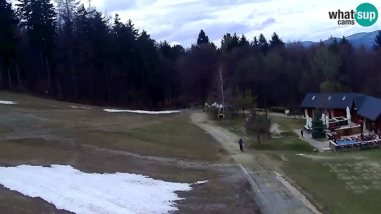 Webcam Pohorje Trikotna Jasa | Poštela