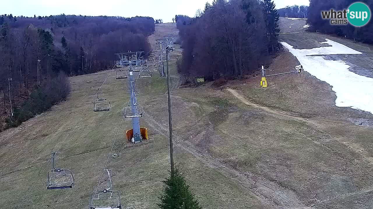 Webcam Pohorje Trikotna Jasa | Poštela