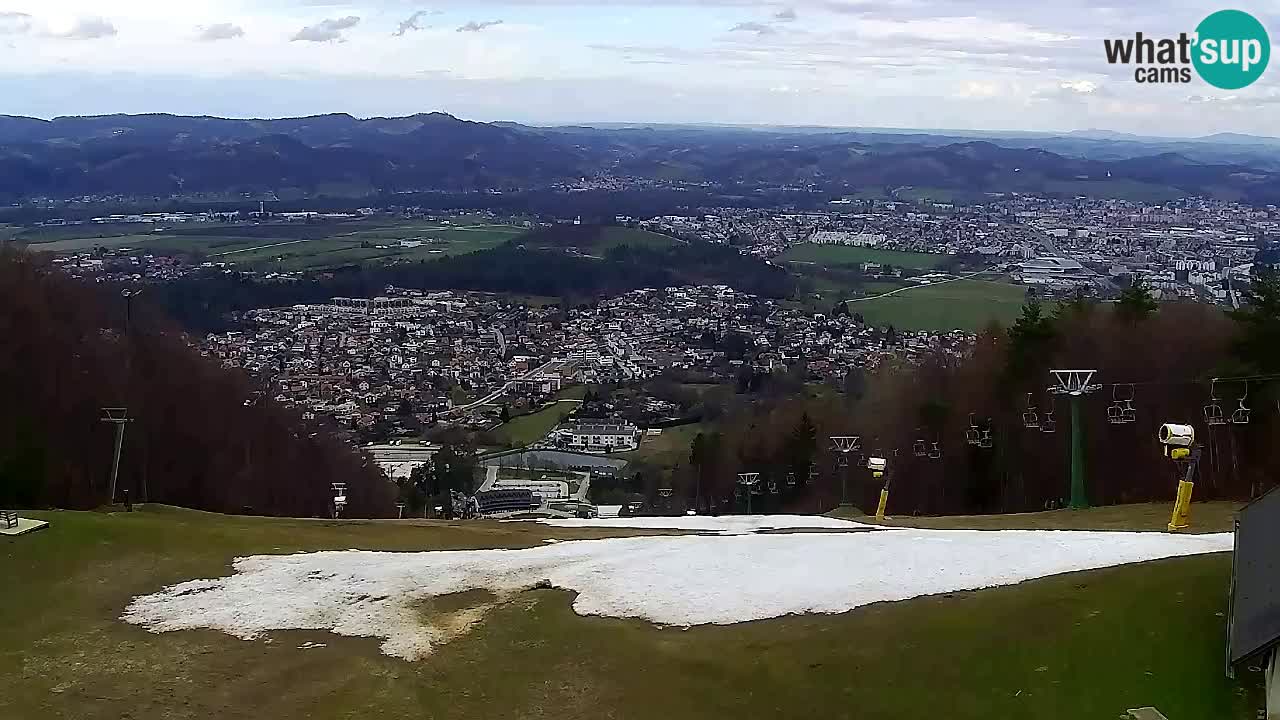 Webcam Pohorje Trikotna Jasa | Poštela