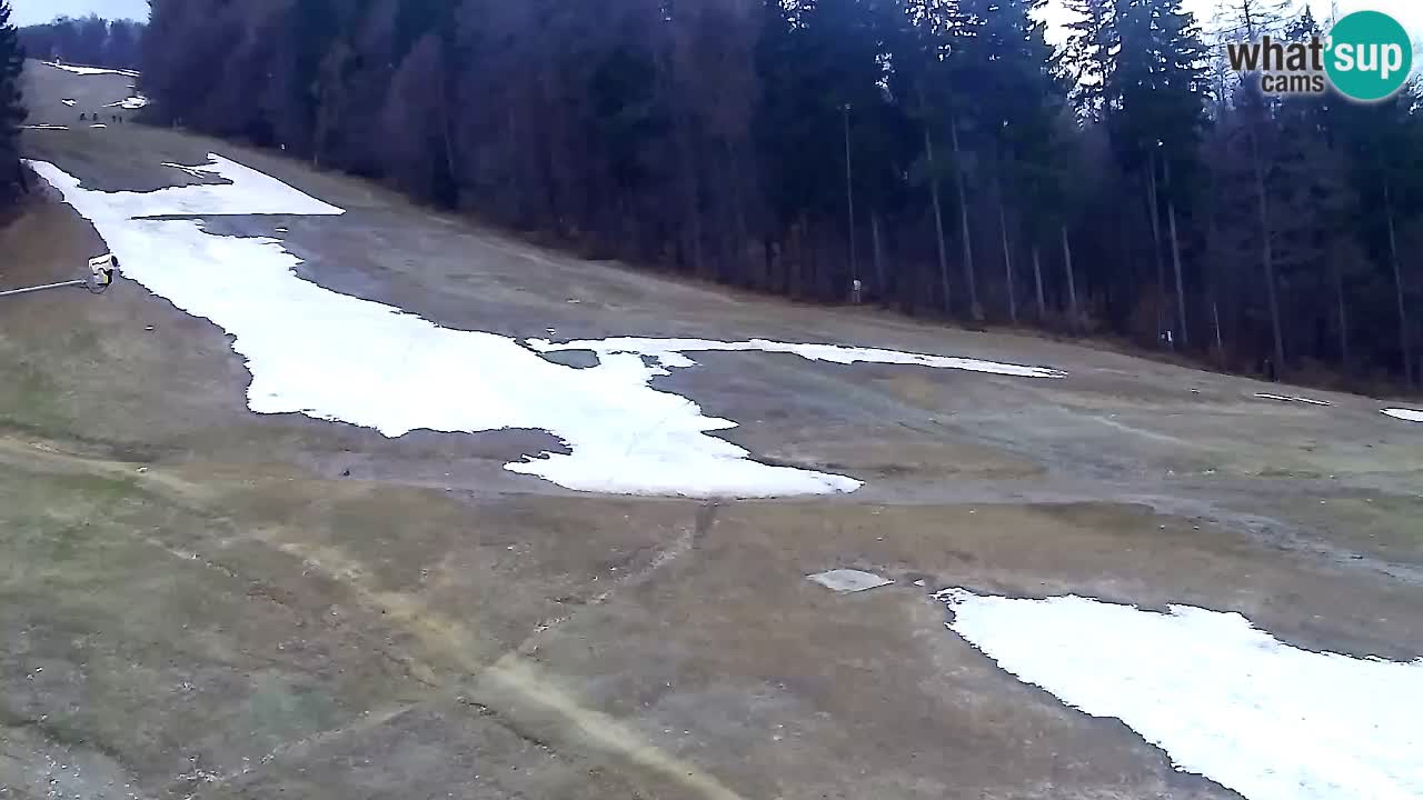 Webcam Pohorje Trikotna Jasa | Poštela