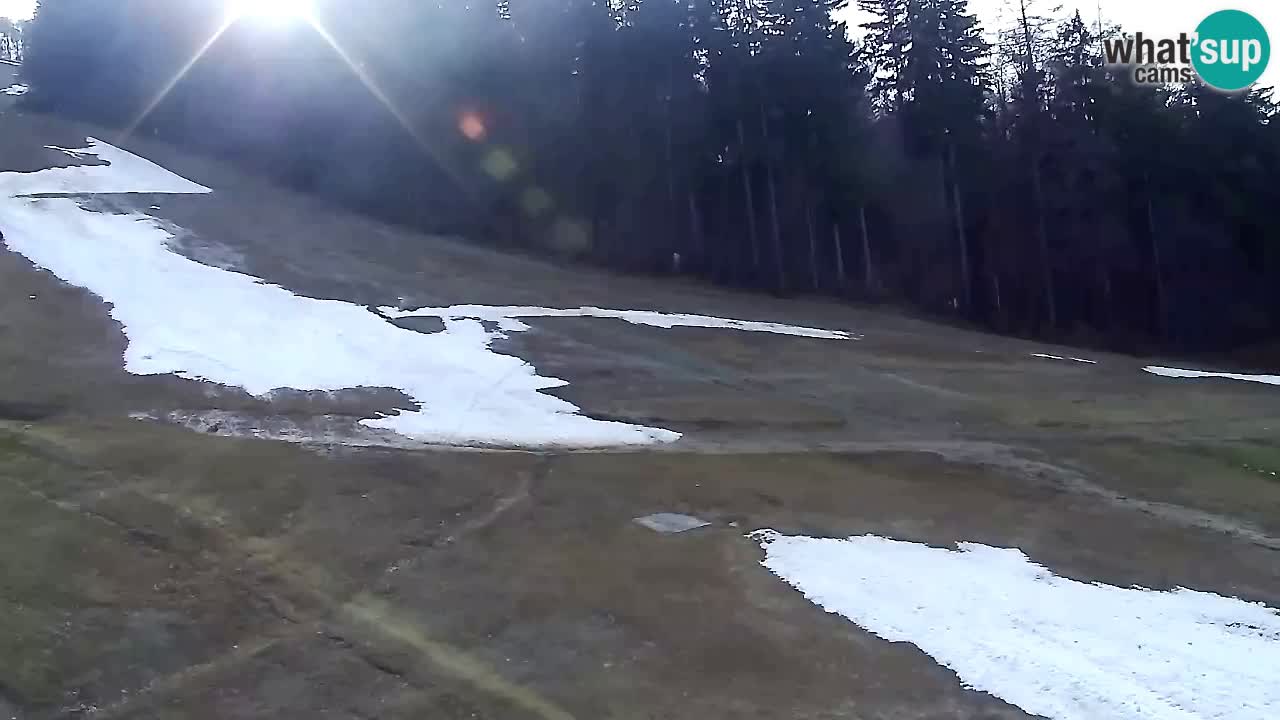 Webcam Pohorje Trikotna Jasa | Poštela