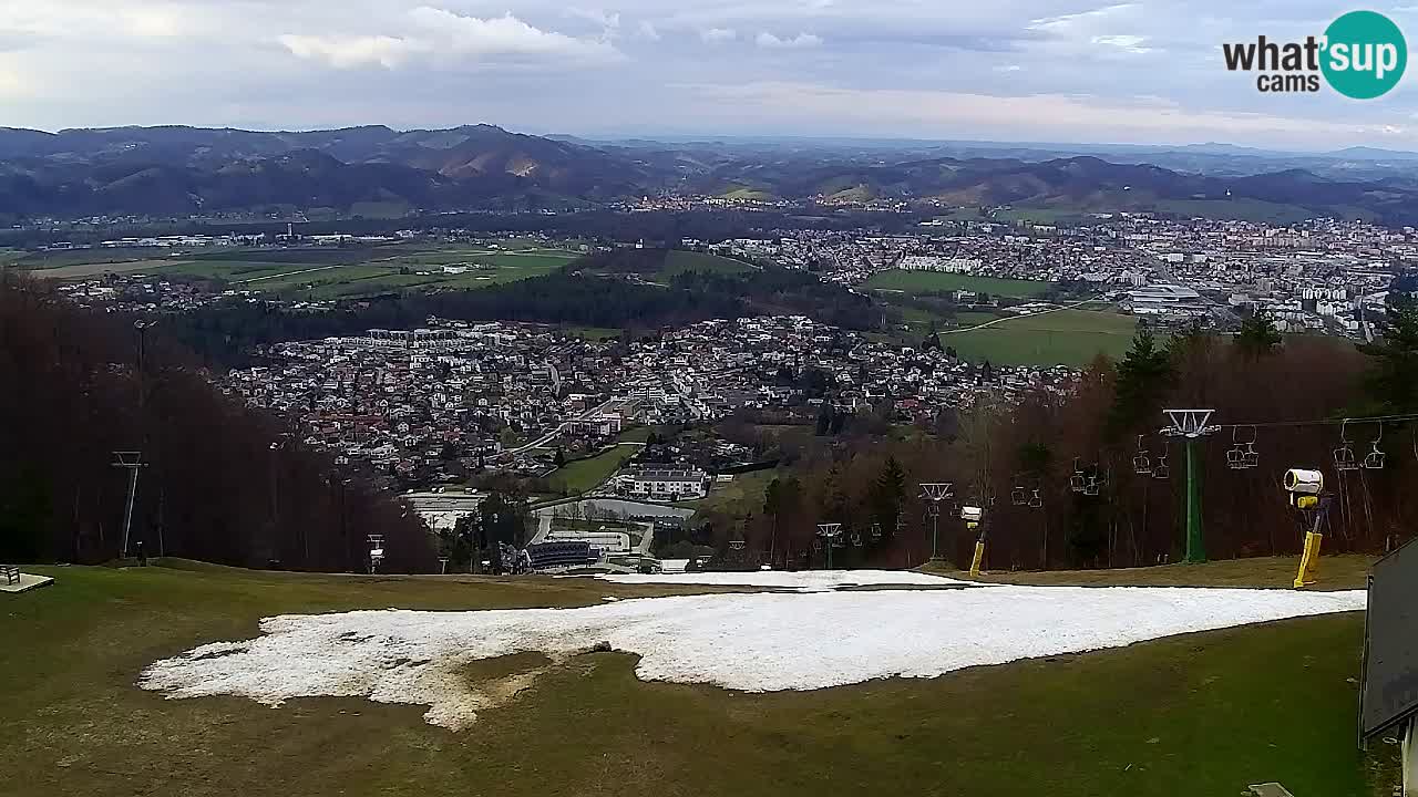 Webcam Pohorje Trikotna Jasa | Poštela