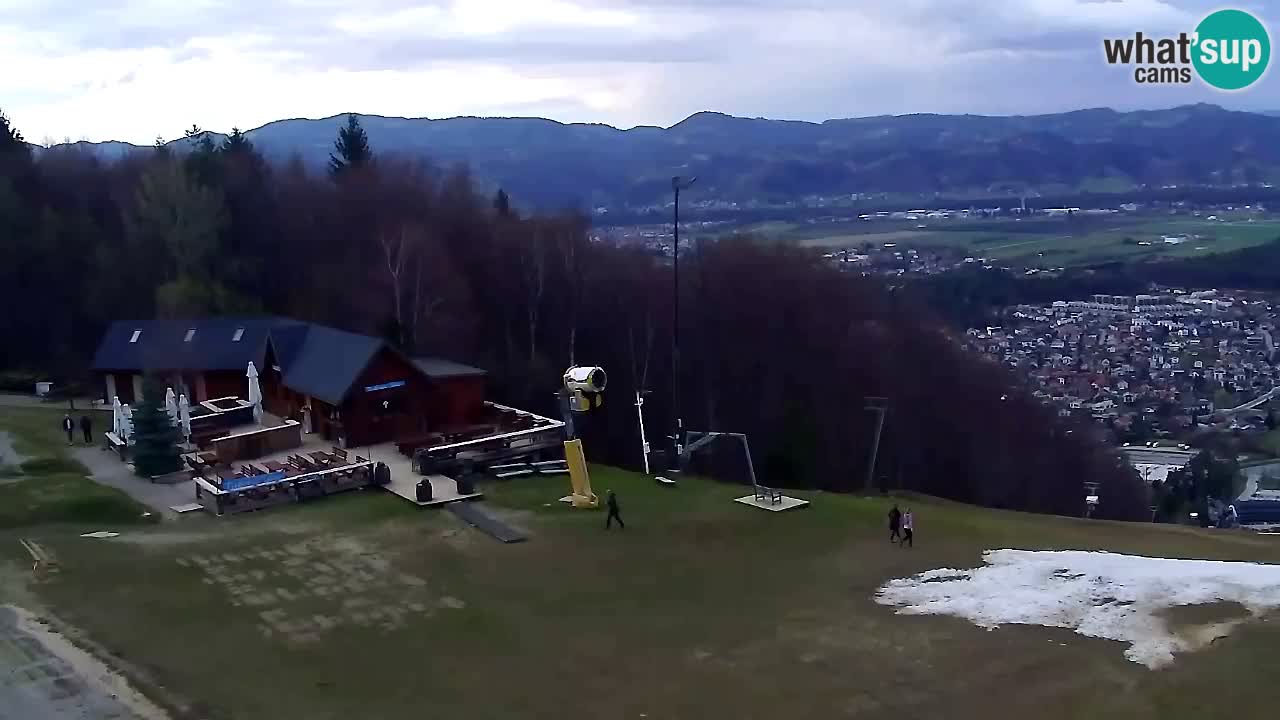 Webcam Pohorje Trikotna Jasa | Poštela
