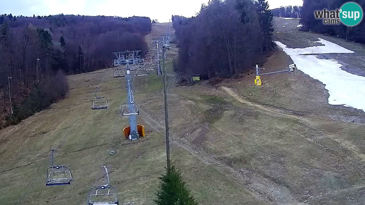 Webcam Pohorje Trikotna Jasa | Poštela