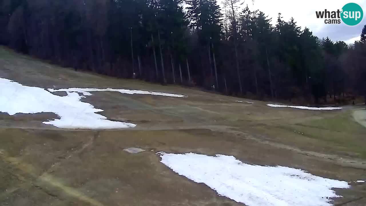 Webcam Pohorje Trikotna Jasa | Poštela